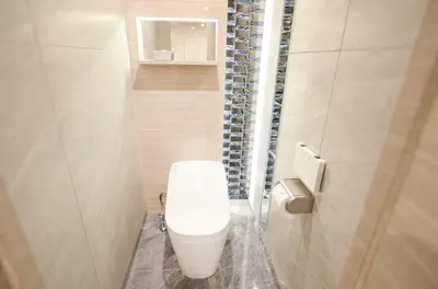 a bathroom with a white toilet in a room at Hotel QUEEN ANNEX in Tokyo