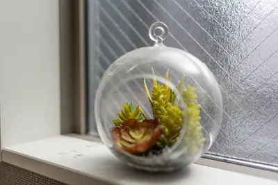a glass bowl with vegetables in it on a window sill at 5963 Hotel Higashi Ikebukuro in Tokyo