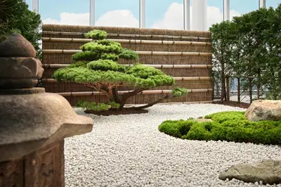 a small pine tree sitting in a garden at Bvlgari Hotel Tokyo in Tokyo