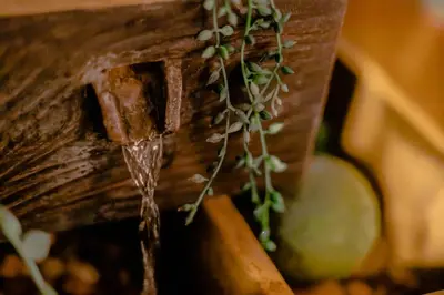 a close up of water coming out of a bird feeder at Wabi Sabi Hostel in Tokyo