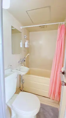 a bathroom with a toilet and a sink and a shower at Rize Apartments in Tokyo