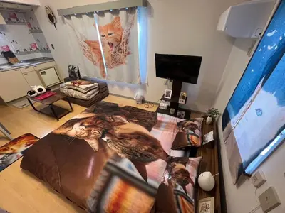 a living room with a cat laying on the floor at Tokyo Shibuya Shinjyuku Cat House ! in Tokyo