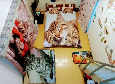 a cat laying on two beds on a table at Tokyo Shibuya Shinjyuku Cat House ! in Tokyo