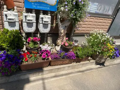 a display of flowers in pots in a store at \u65e5\u5149\u30d3\u30ebA or B in Tokyo