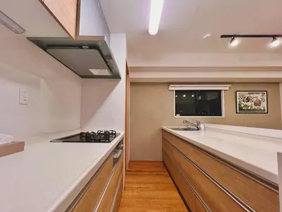 a kitchen with a counter top and a sink at 浅草スカイツリービューテラス 浅草寺3分 浅草駅6分 2-10人 成田&羽田空港直通 in Tokyo