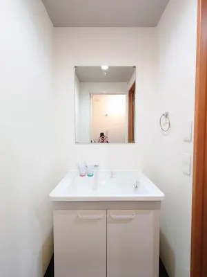 a bathroom with a white sink and a mirror at peter hotel akihabara in Tokyo