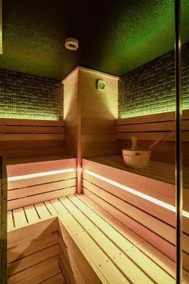 a sauna with wooden floors and a green ceiling at Section L Tsukiji in Tokyo