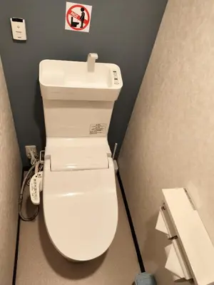 a white toilet in a bathroom with a sink at Hostel Belle Via Tokyo in Tokyo