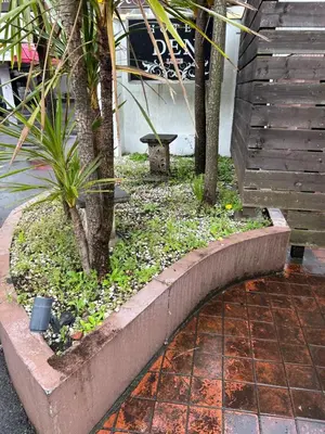 a garden with trees and plants on a sidewalk at \u30db\u30c6\u30ebDEN in Tokyo