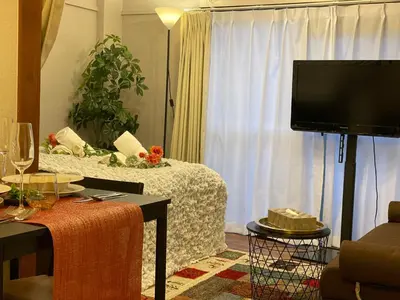 a living room with a bed and a television at Best Shinjuku Modern Full-furnished Family size Apartment4 ONLY 2min to Shinjuku by Train in Tokyo