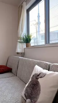 a stuffed bird sitting on a pillow on a couch at Skytree Cozy House in Tokyo