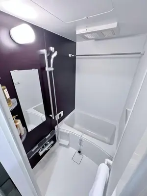a bathroom with a sink and a mirror at Real Okubo Apartment Hotel in Tokyo