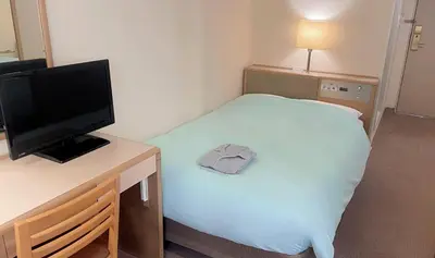 a small bedroom with a bed and a television at Olympic Inn Kanda in Tokyo