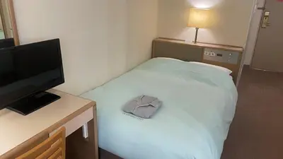 a room with a bed with a television and a pillow at Olympic Inn Kanda in Tokyo