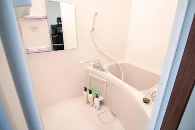 a white bathroom with a shower and a sink at Japanese Tradition Hotel Evergreen in Tokyo